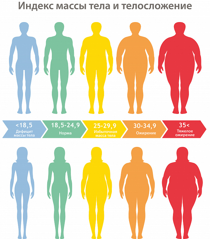 ИМТ определение избыточного веса и стадии ожирения