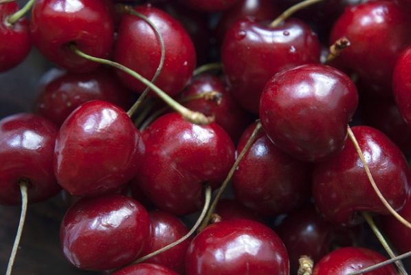 Какие ягоды можно есть для похудения, правила и особенности ягодной диеты